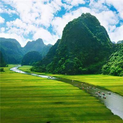 日本开始释放国家石油储备。（共同社）